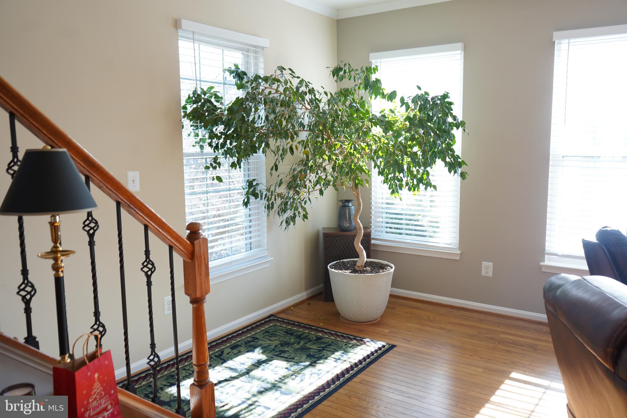 LOWES ISLAND - Residential