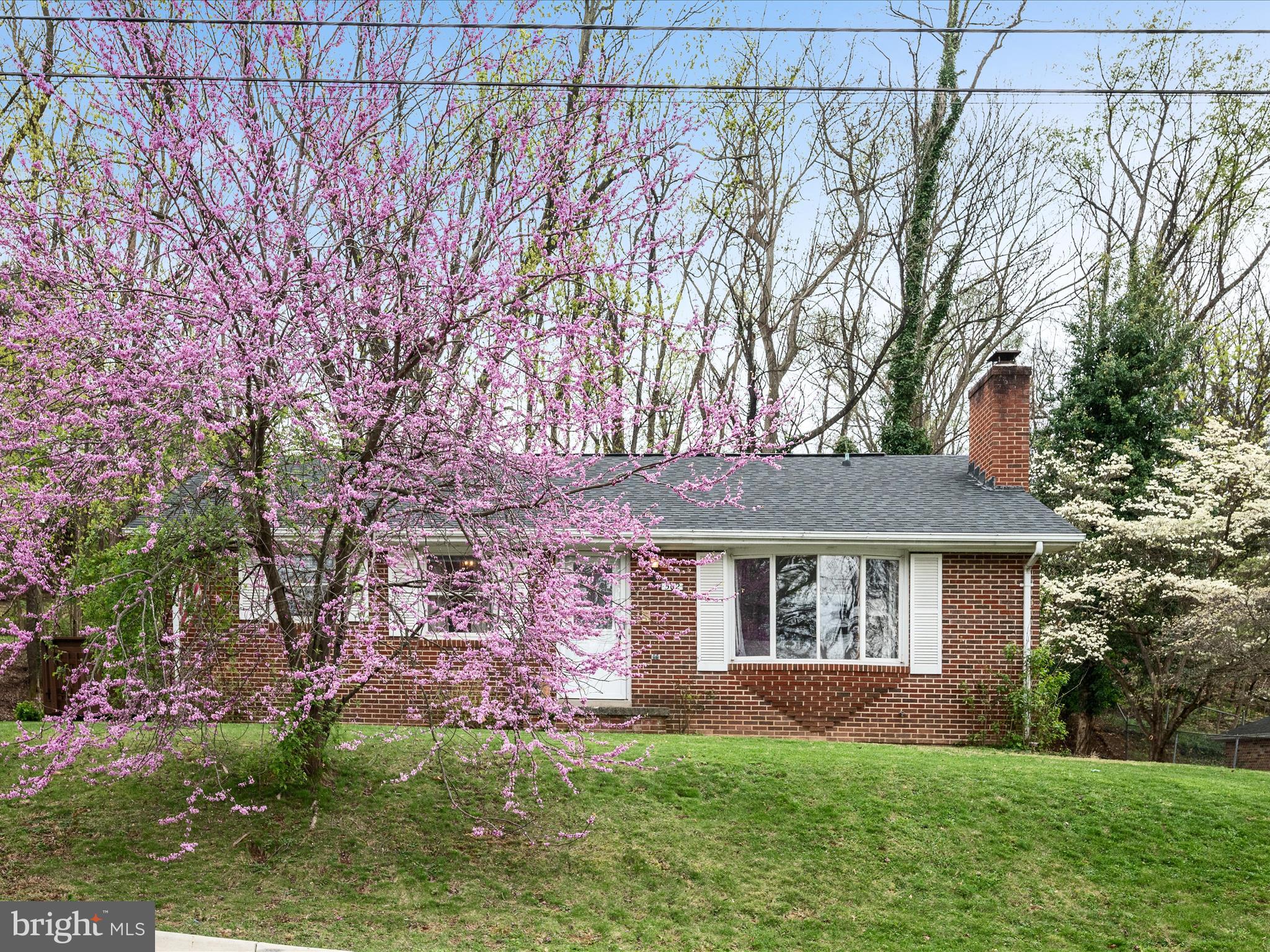 VISCOSE CITY - Residential