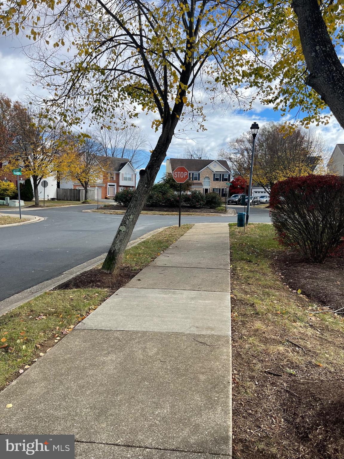 SOMERSET - Residential Lease