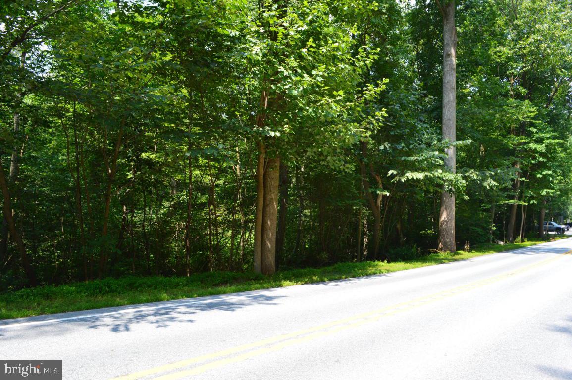 Build the home of your dreams on this 2.87 acre lot, surrounded by woods and bordered by State Game Lands. Peace, quiet, and solitude can be yours amid nature's finest. Just the sound of birds singing and gentle breezes through the trees!