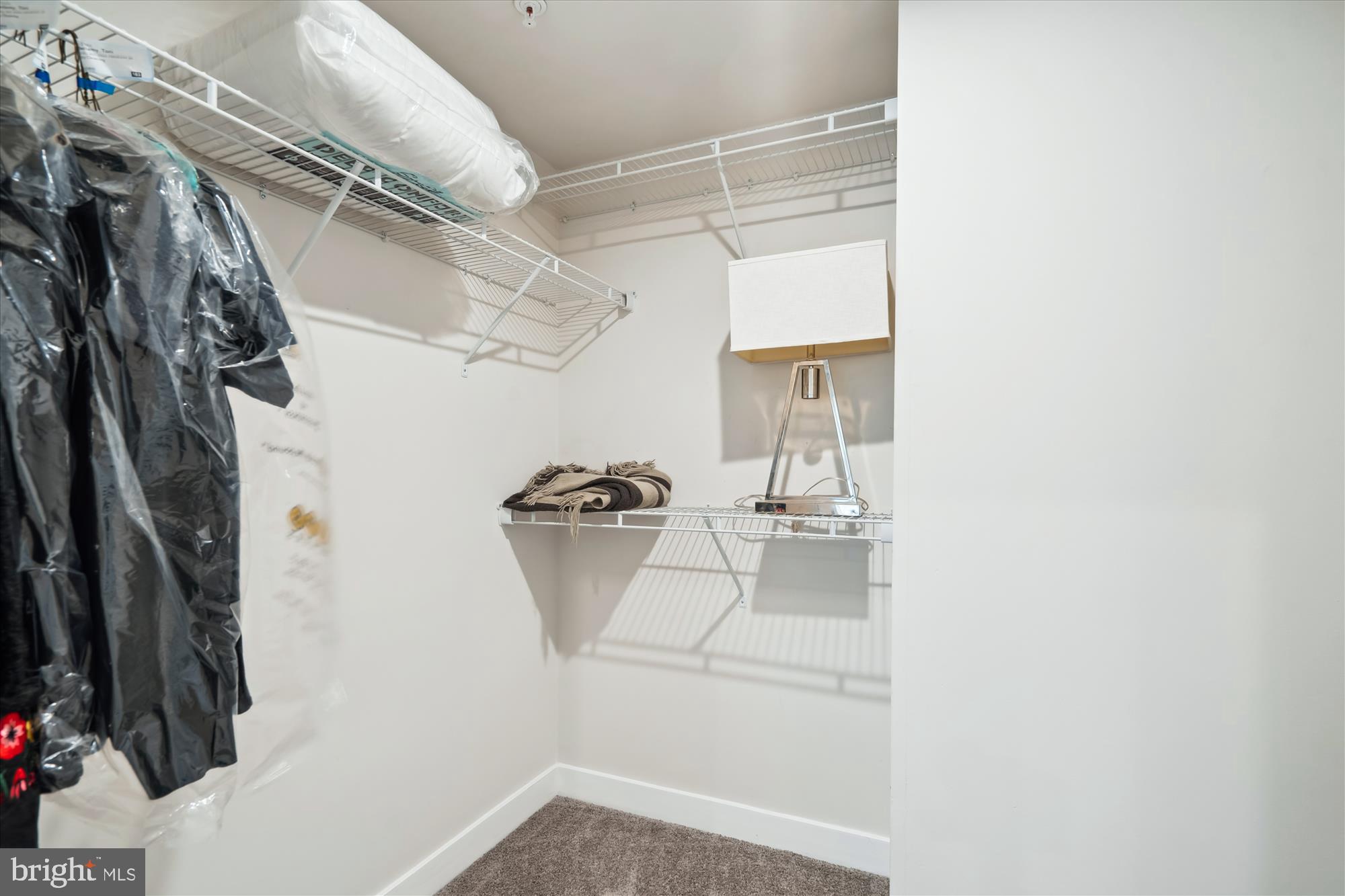 SUITLAND PARK - Residential