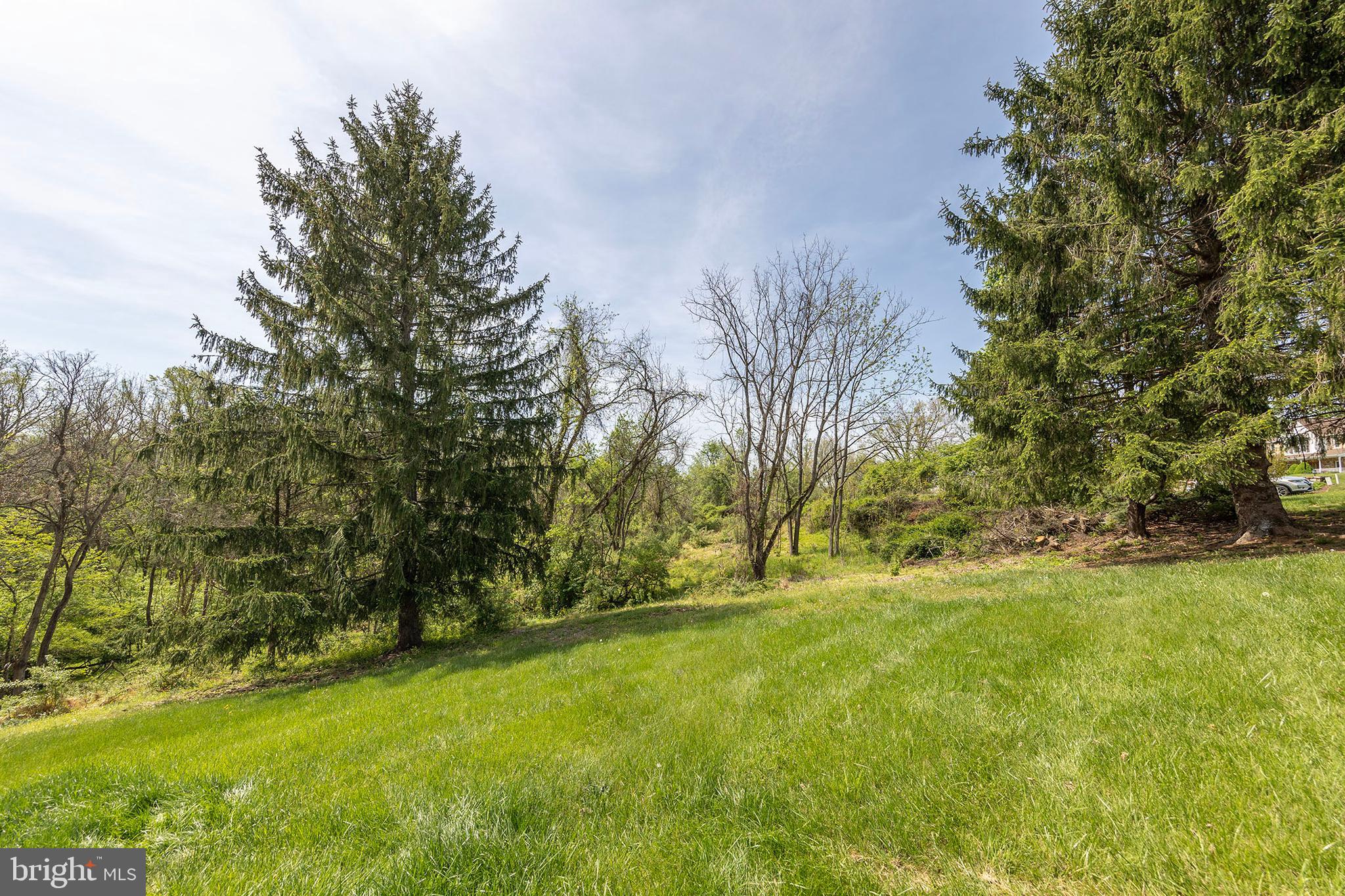 SPRING HOLLOW ESTATES - Residential