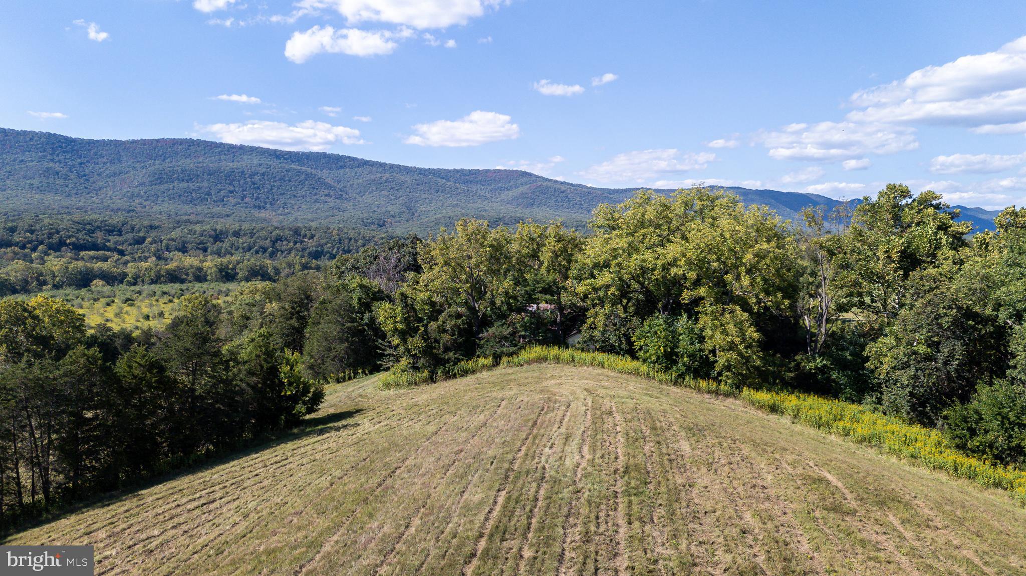 NONE AVAILABLE - Land