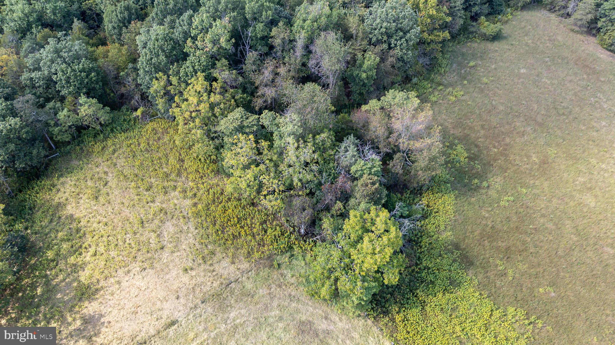 NONE AVAILABLE - Land