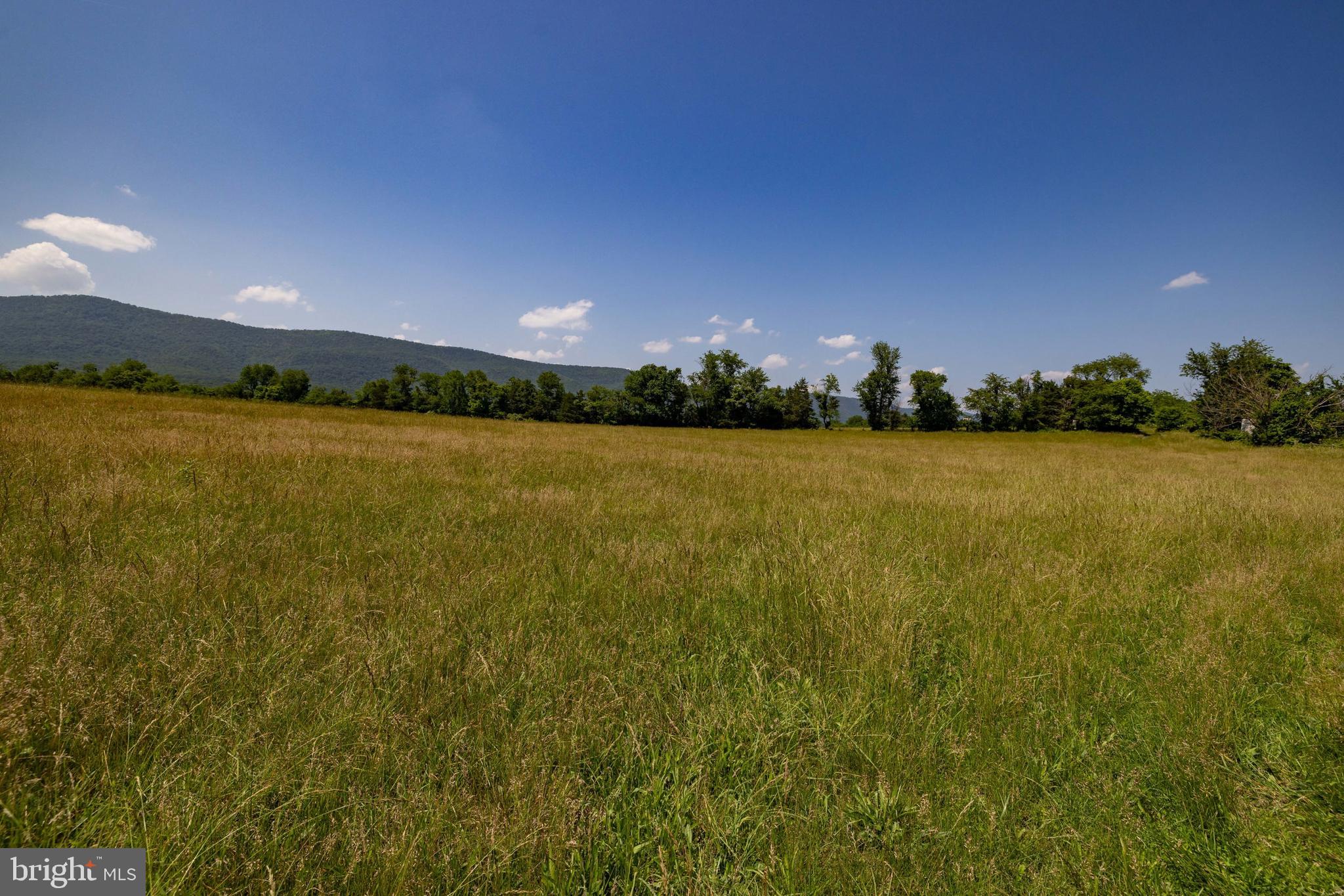 NONE AVAILABLE - Land