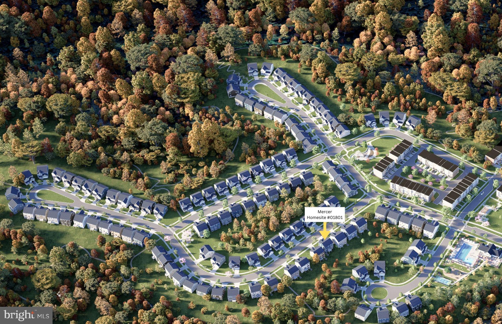 CABIN BRANCH - Residential