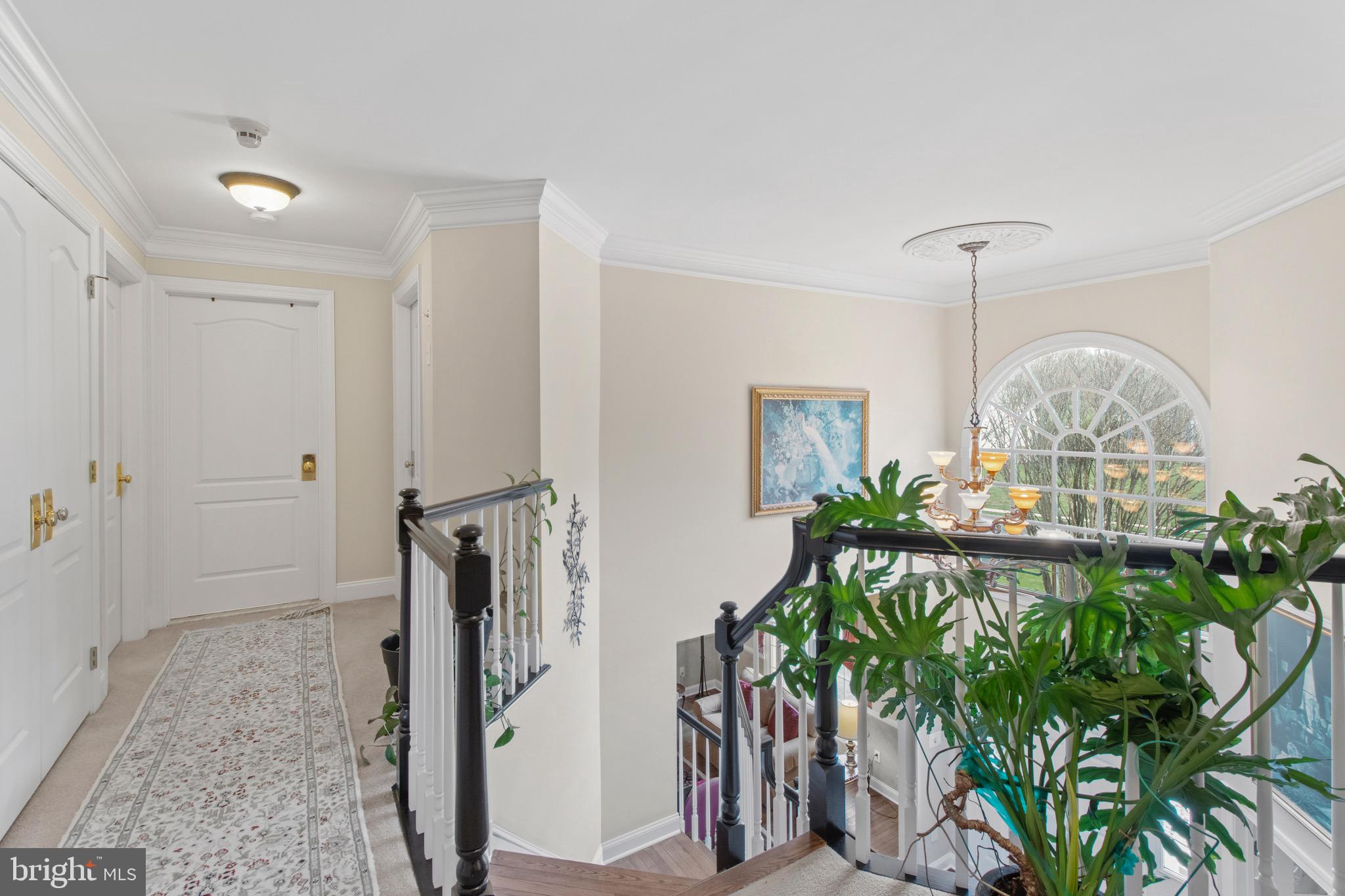 ROSE TREE ESTS - Residential