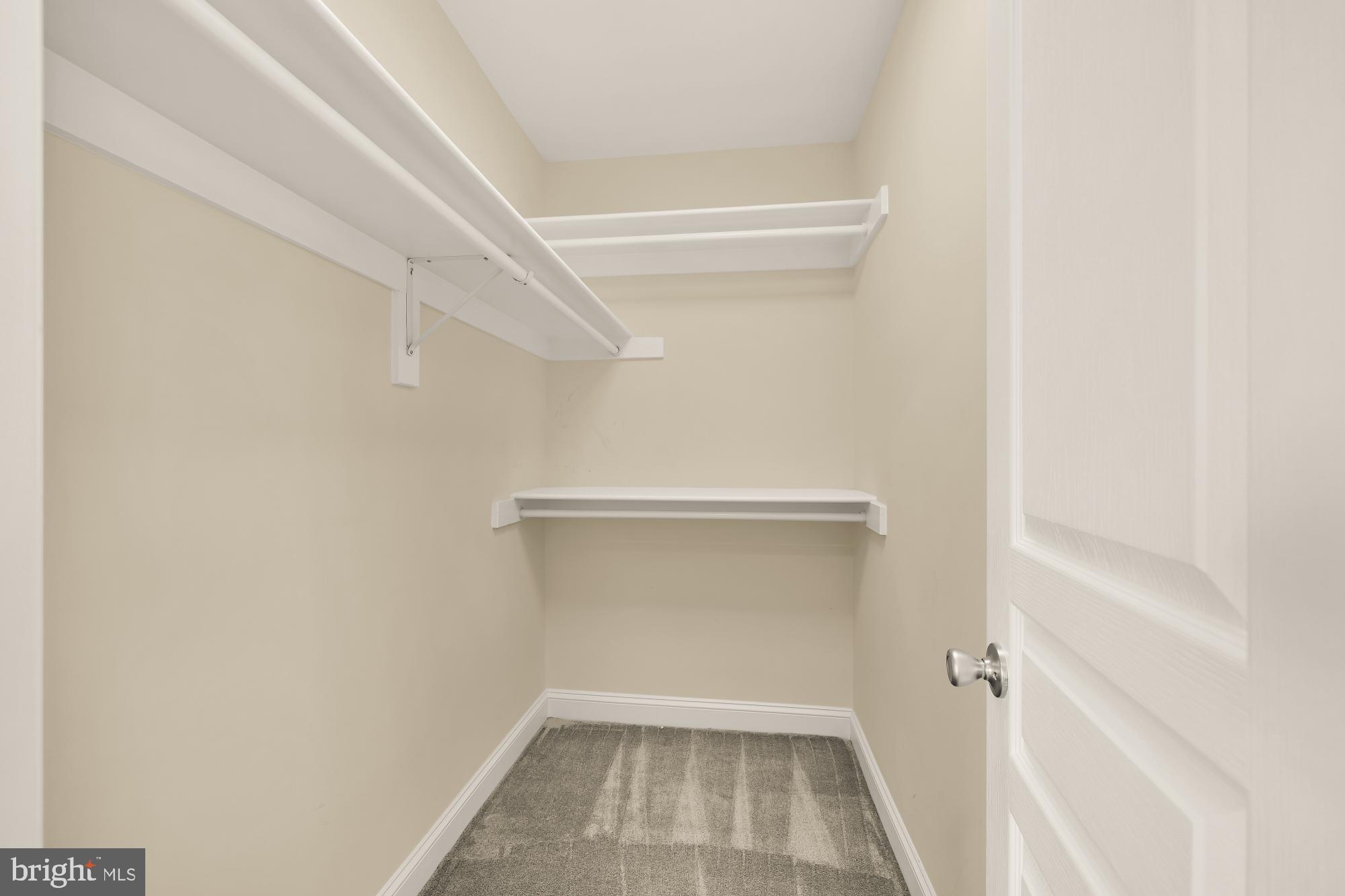 LACEY FOREST - Residential