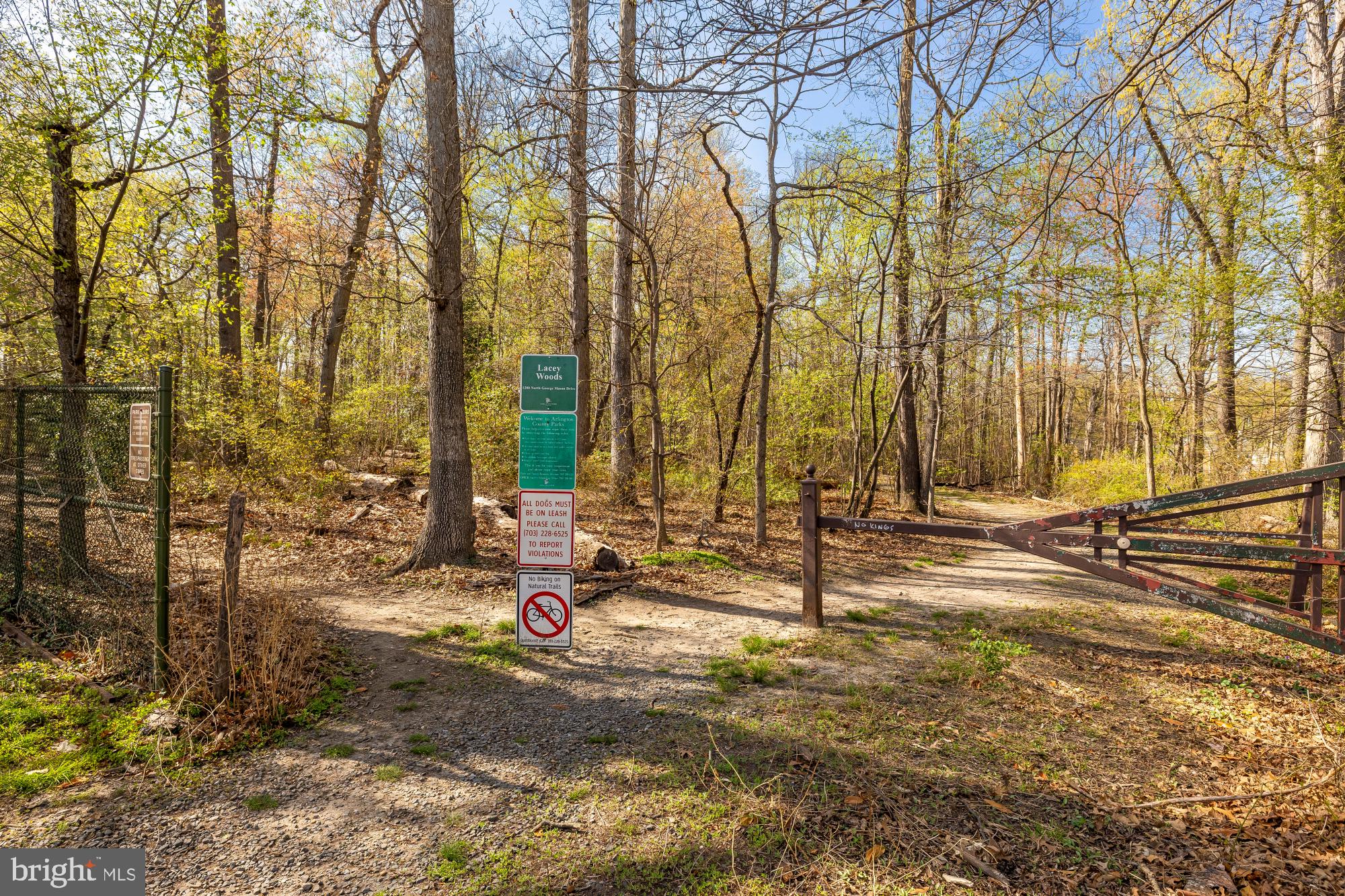 LACEY FOREST - Residential