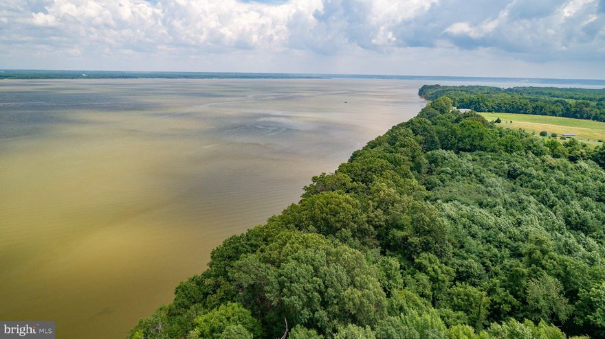 10 Acre Potomac River Waterfront Estate Site – Elevated Bluff with Panoramic Views

Rare opportunity to own a 10-acre waterfront homesite on the Potomac River in King George County. This private, wooded parcel offers an elevated bluff setting—ideal for a custom home designed to capture sweeping water views and natural surroundings.

The property features extensive frontage along the Potomac, creating a unique opportunity for a private waterfront retreat. The elevated topography allows for creative home design options including walkout basements, expansive decks, and large window orientations toward the river.

While the shoreline is naturally elevated, a dock, pier, or boat lift may be achievable with proper engineering and permitting, offering long-term waterfront access potential.

Conveniently located just minutes from Route 301 with access to Fredericksburg, Dahlgren, Southern Maryland, and Northern Virginia.

Builder options available. Custom home packages offered separately.

Property subject to recorded covenants and easements; details available upon request.