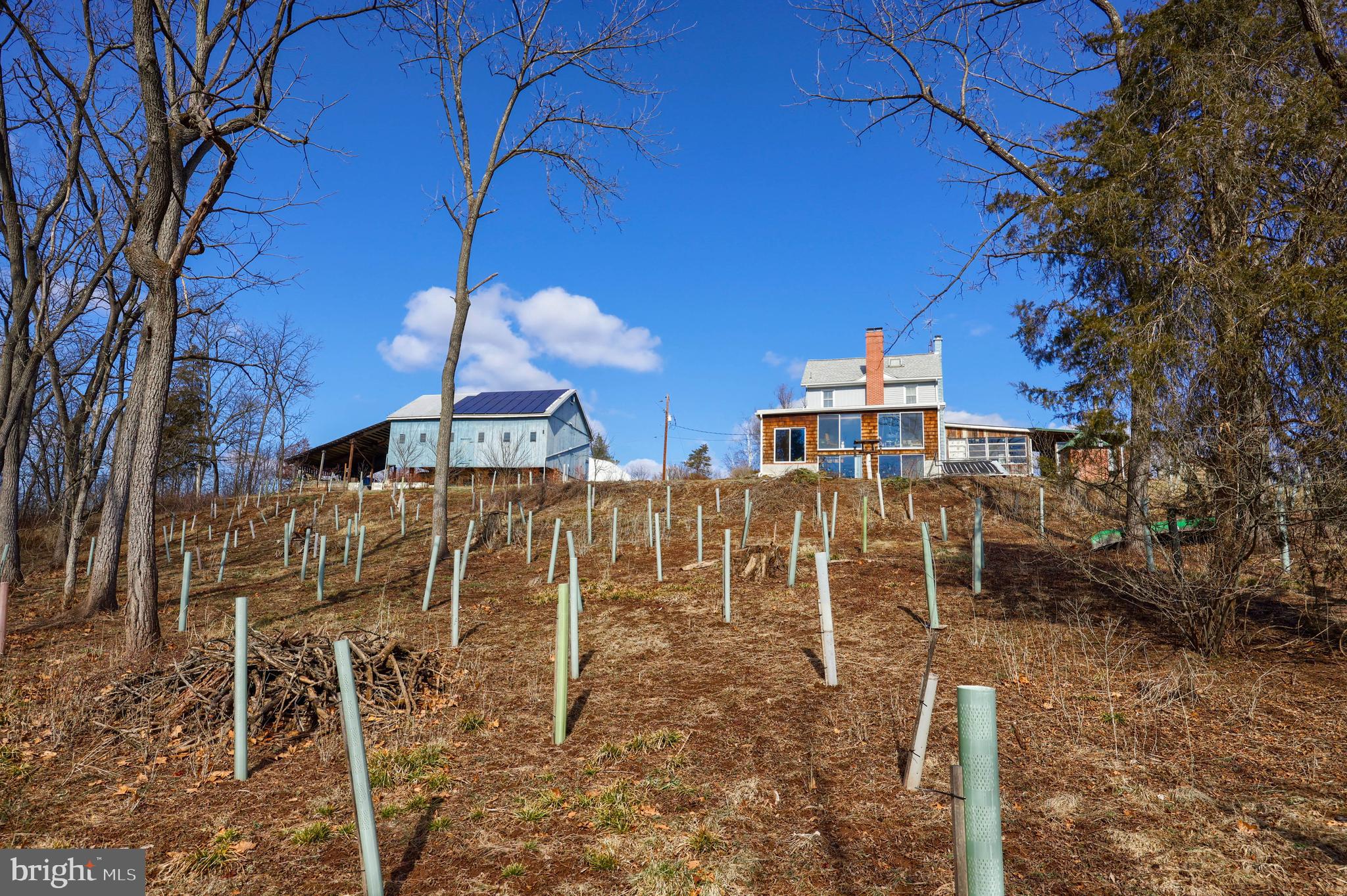 NONE AVAILABLE - Farm