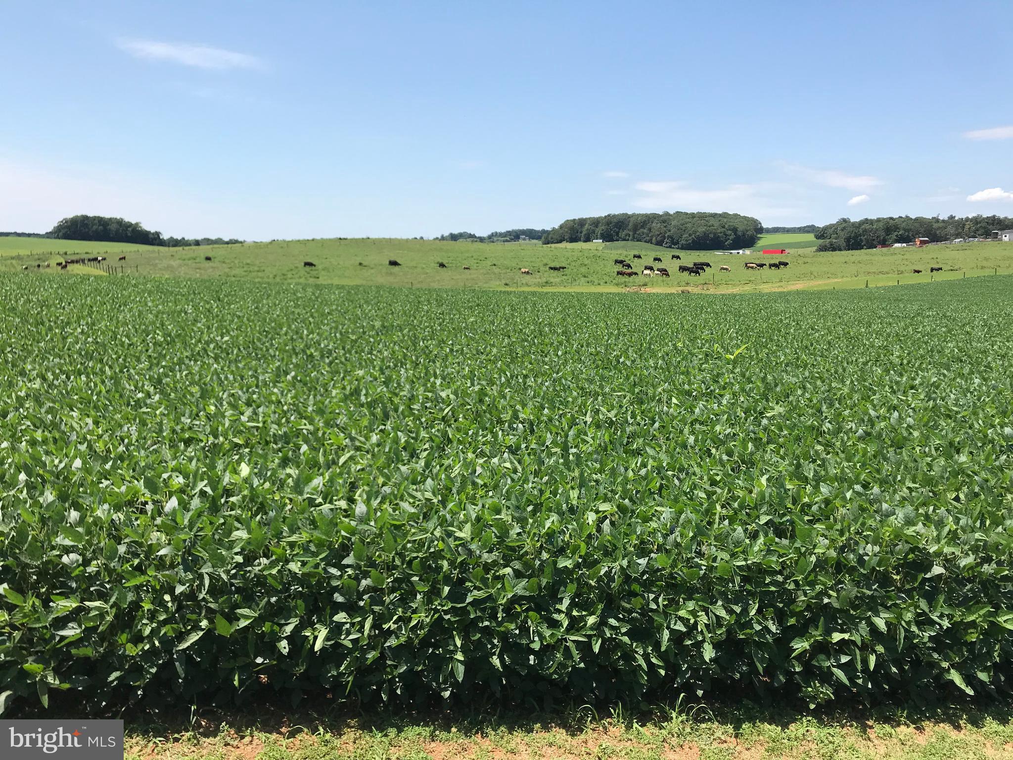 FLEMING WAY ESTATES - Residential