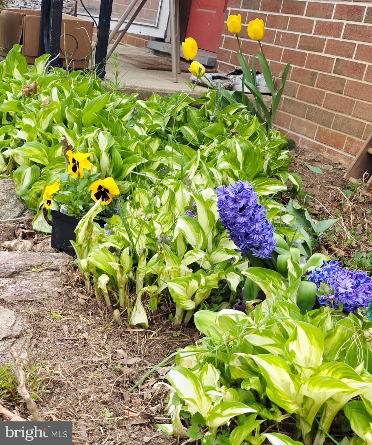 DELTA BORO - Residential