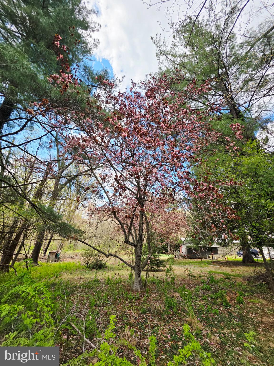 DELTA BORO - Residential