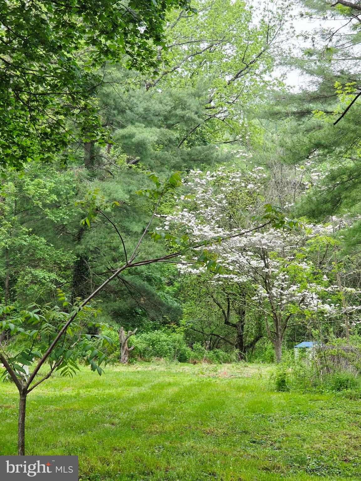 DELTA BORO - Residential
