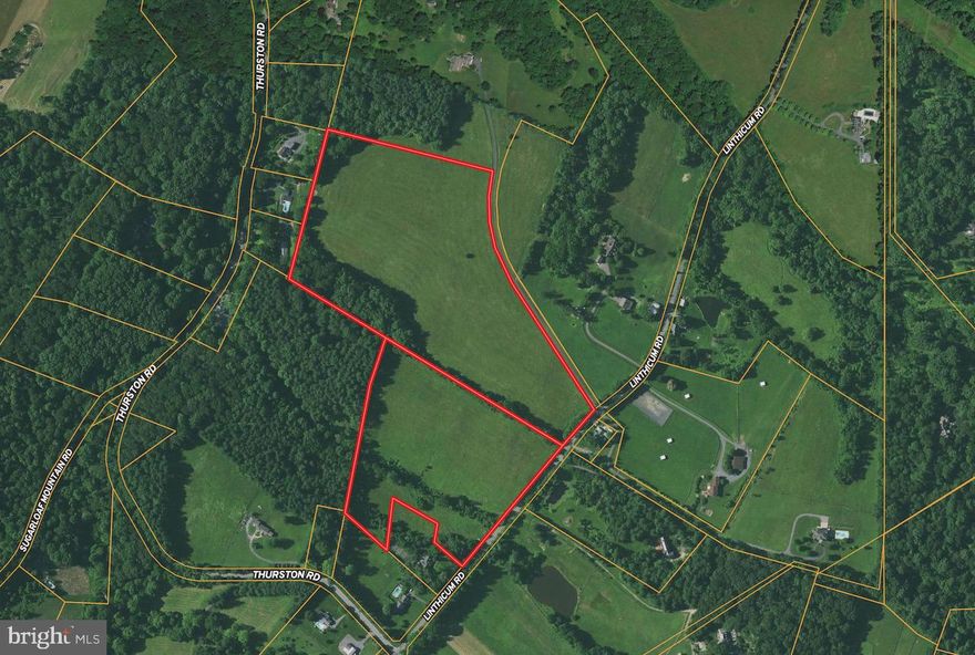 Build your dream home on this 39.5 acre farm estate lot with rolling hills and serene views. Located just off of I-270 and near the PB Dye Golf Course, this property offers the perfect canvas to build your ideal home. It features a historic rock barn and an additional outbuilding for your creative endeavors. Situated on a quiet road, this oasis provides an easy escape from DC life, allowing you to unwind and indulge in nature.