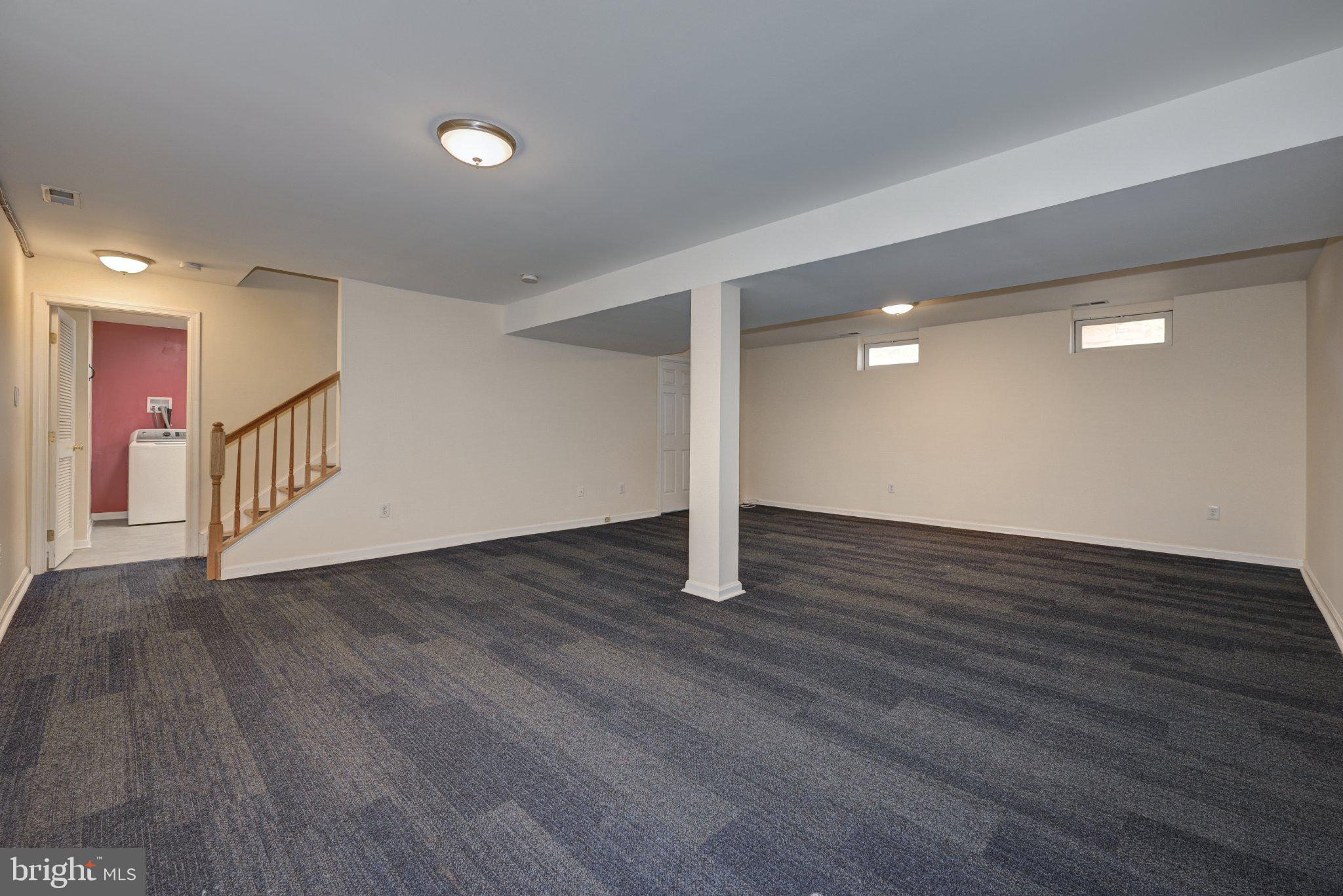 18 CANIDAE STREET