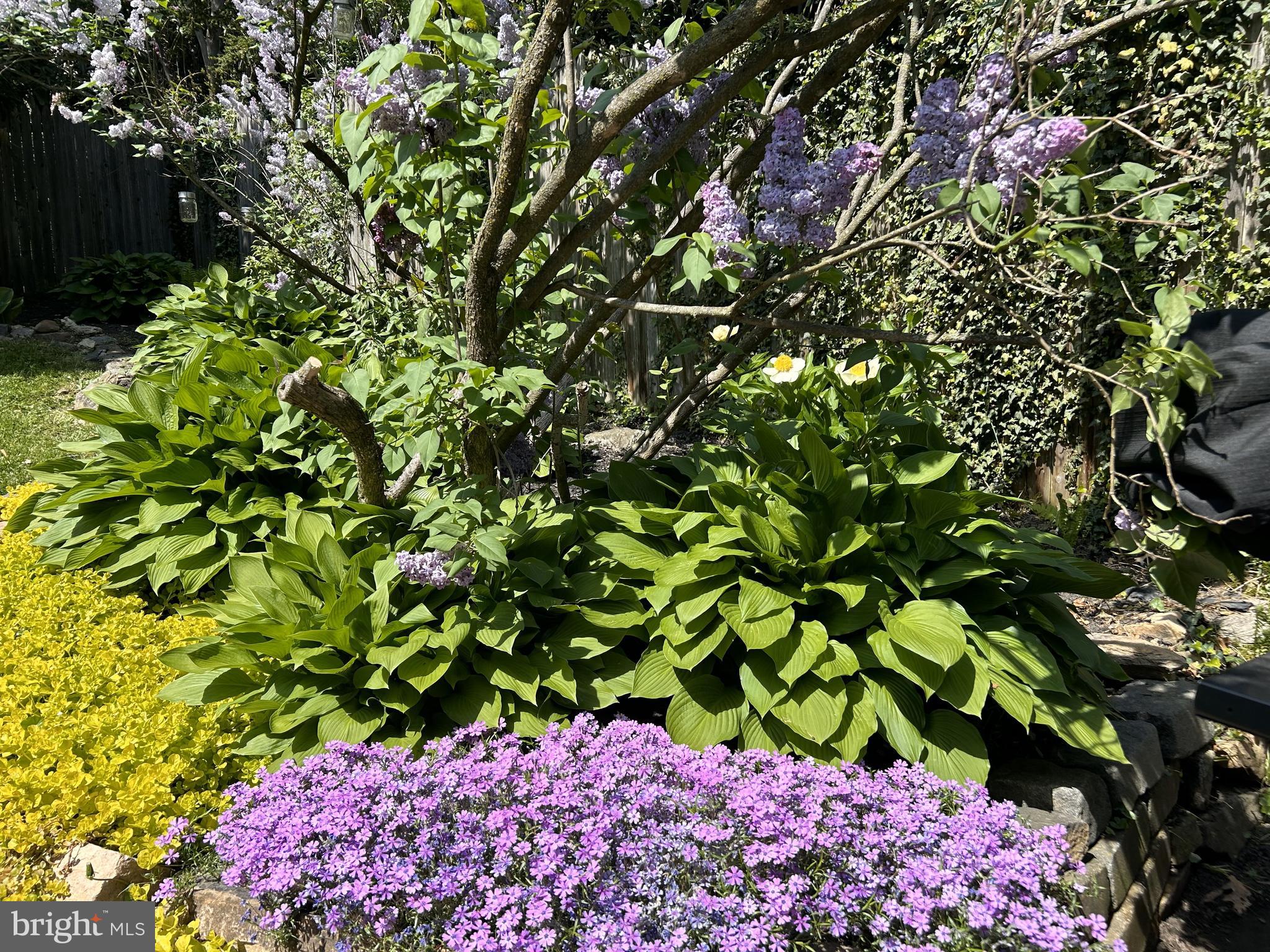 TWICKENHAM VILLAGE - Residential