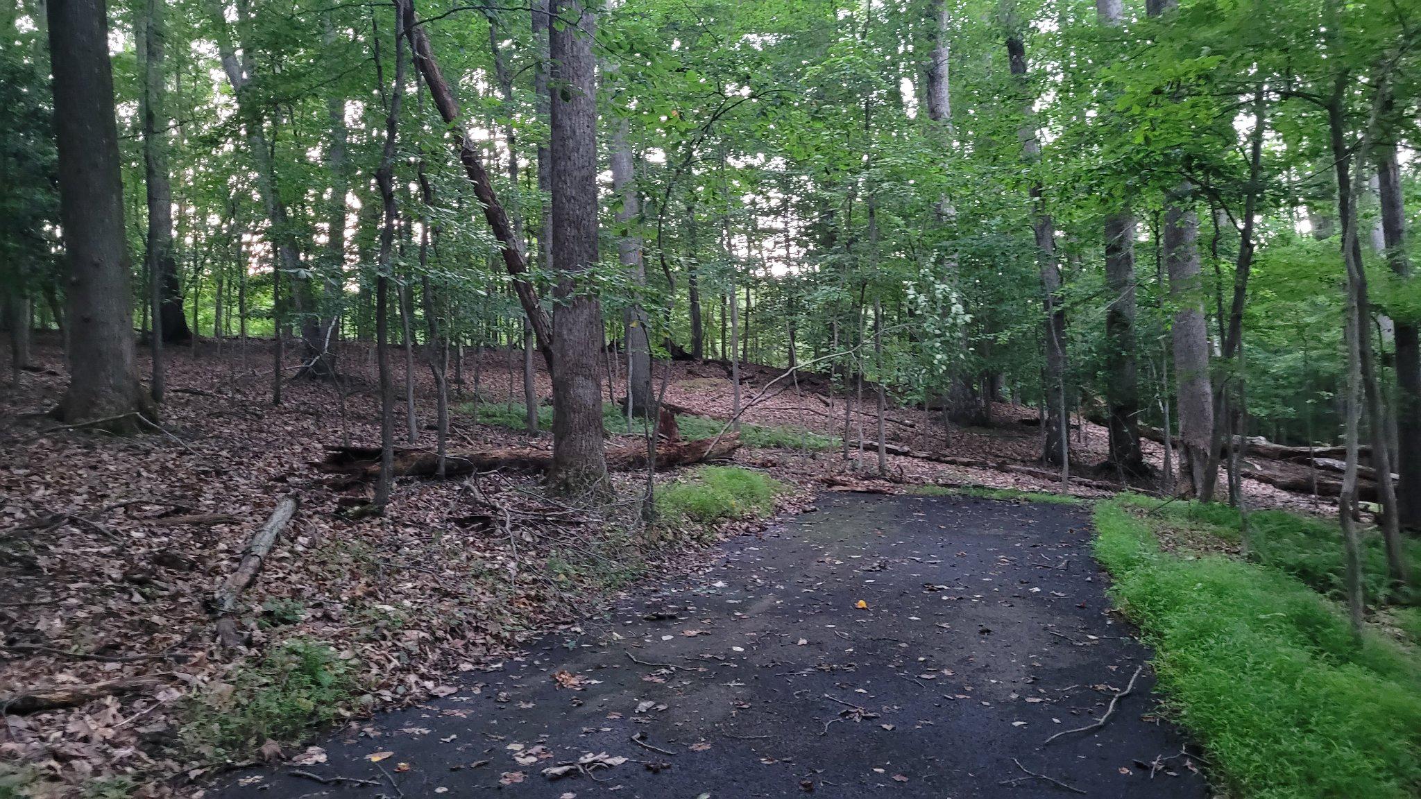 264 GOLDEN WOODS COURT