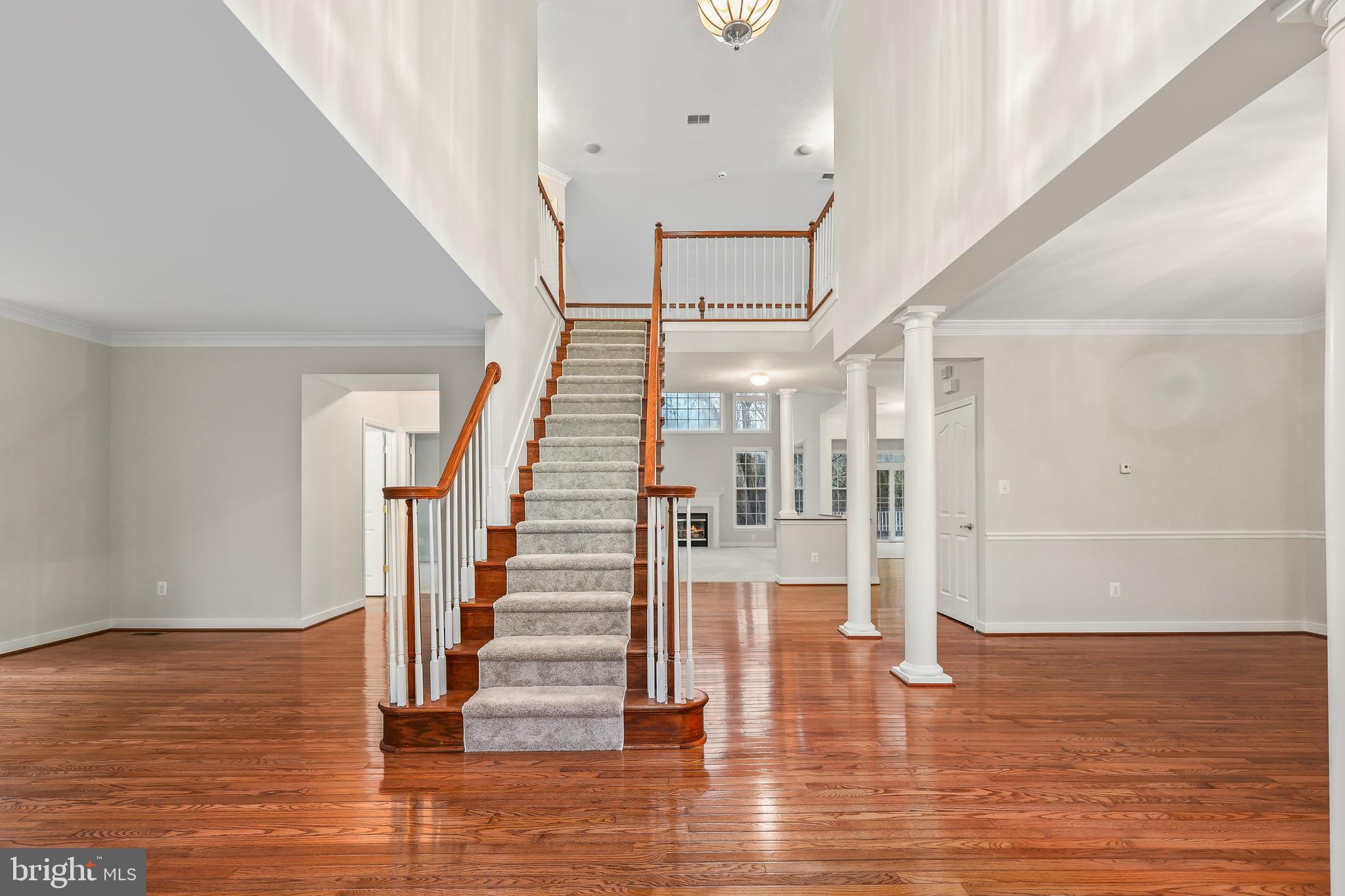 THE PADDOCKS AT DOWDEN DOWNS - Residential