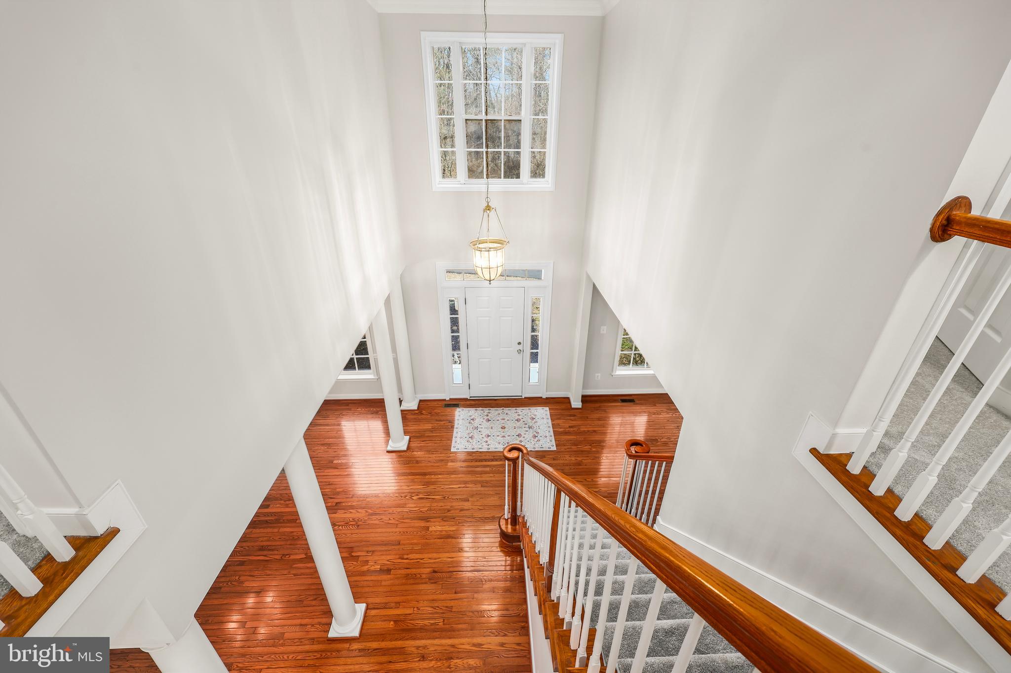 THE PADDOCKS AT DOWDEN DOWNS - Residential