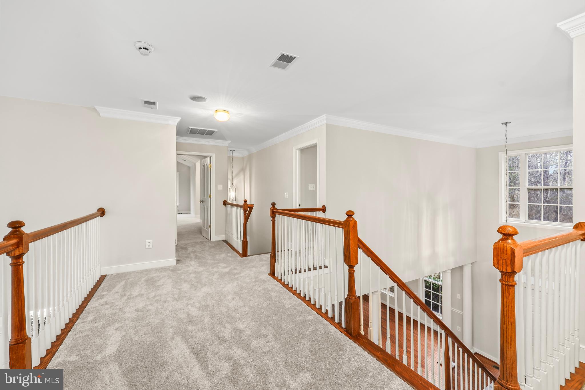 THE PADDOCKS AT DOWDEN DOWNS - Residential