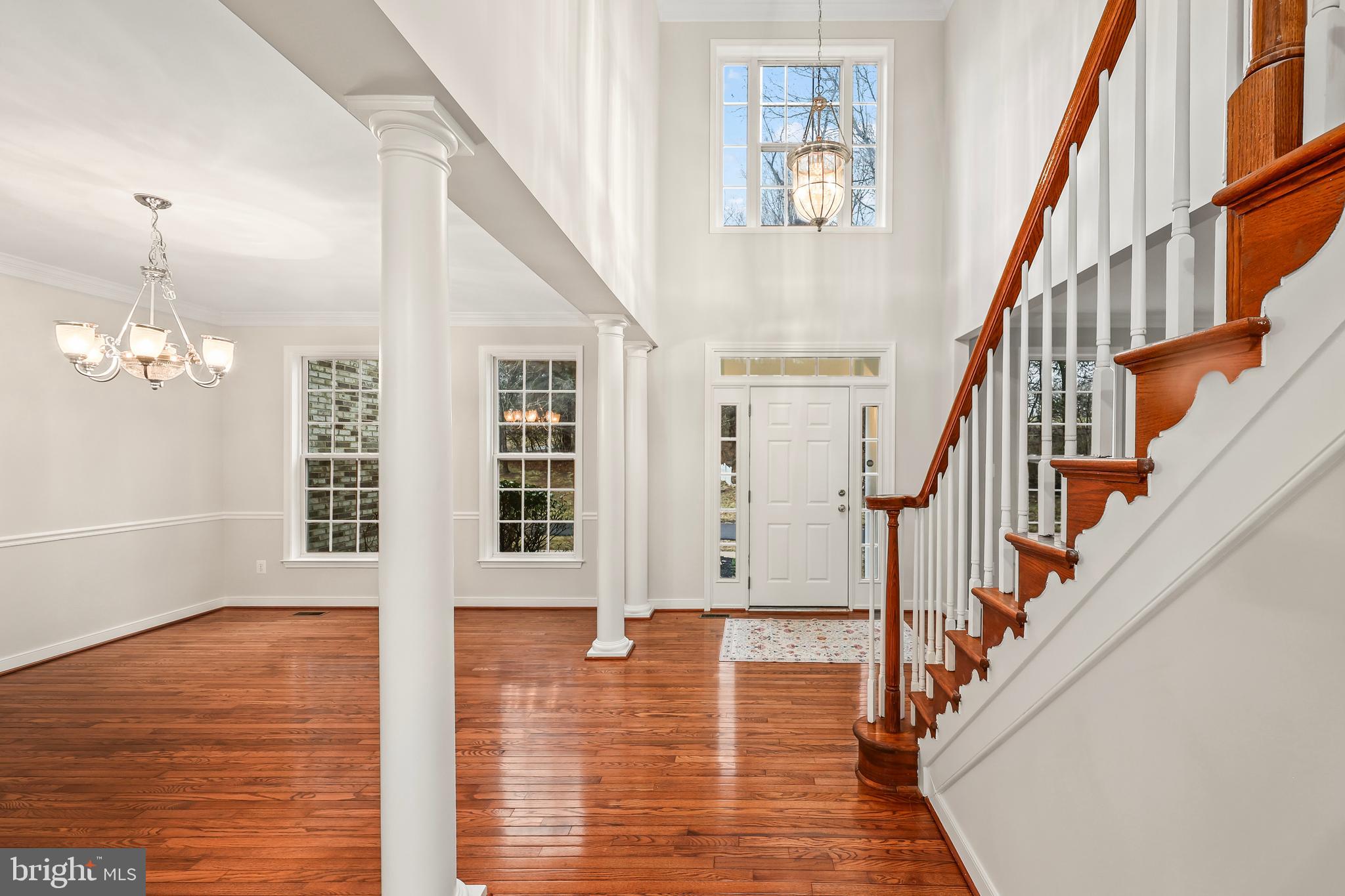 THE PADDOCKS AT DOWDEN DOWNS - Residential