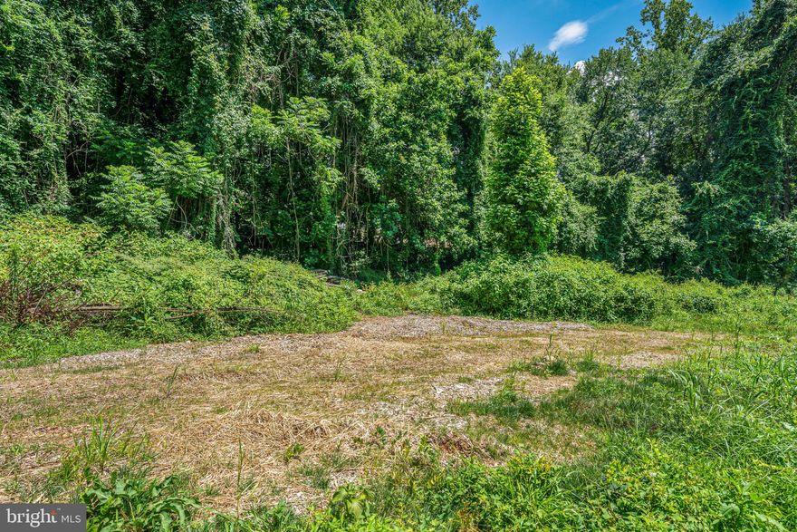 Exceptional opportunity to build your dream estate on one of McLean’s most coveted addresses. 7701 Lewinsville Road is a rare 2.3-acre, fully available lot offering a private, tree-lined setting just minutes from the heart of Tysons. Tucked away for peace and privacy, yet ideally located for convenience, this ready-to-develop parcel offers limitless potential.

Whether you're designing a modern showpiece or a timeless classic, this expansive homesite offers the space, setting, and prestige to bring your vision to life. Situated in a top-tier school pyramid and surrounded by multi-million-dollar estates, this is the canvas for your forever home. 

Opportunities like this in McLean are rare. Don’t miss your chance to secure this one-of-a-kind property.
