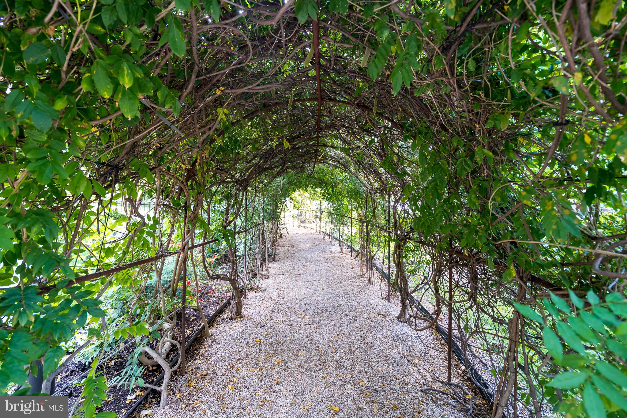 ROTONDA - Residential