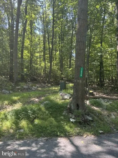 7275 Black Road, Thurmont, MD, 21788