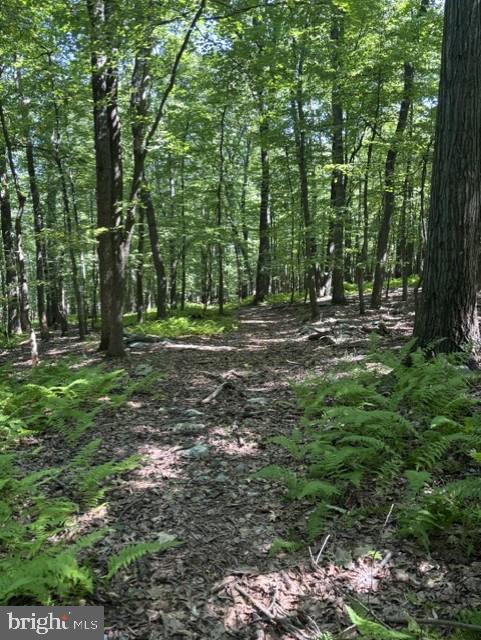 7275 BLACK ROAD