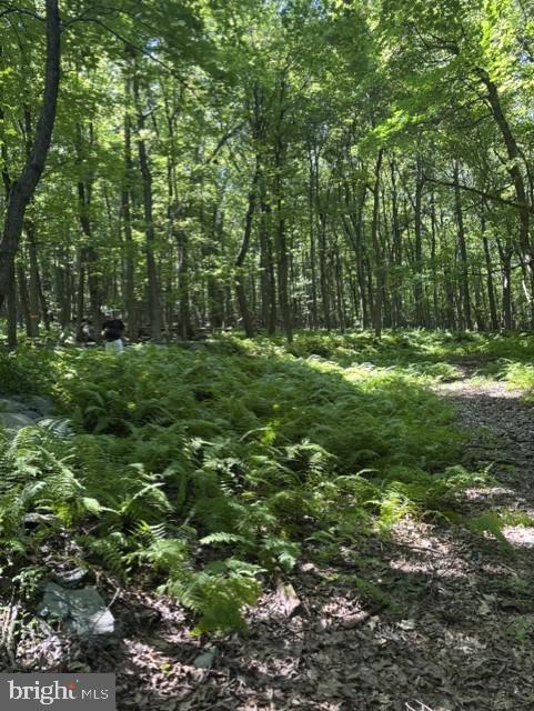 7275 BLACK ROAD