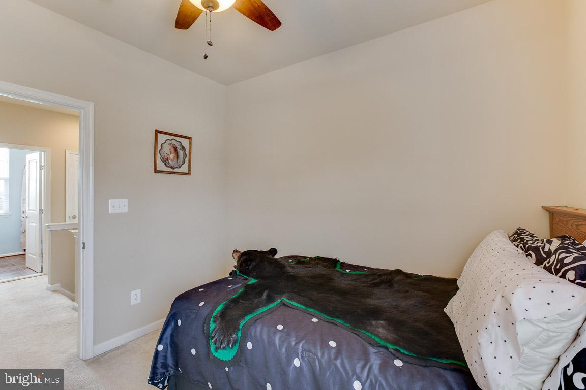 MEADOWS AT MORRIS FARM - Residential