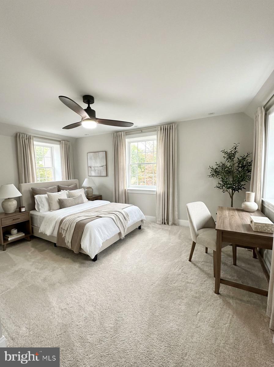 CHESTNUT HILL - Residential