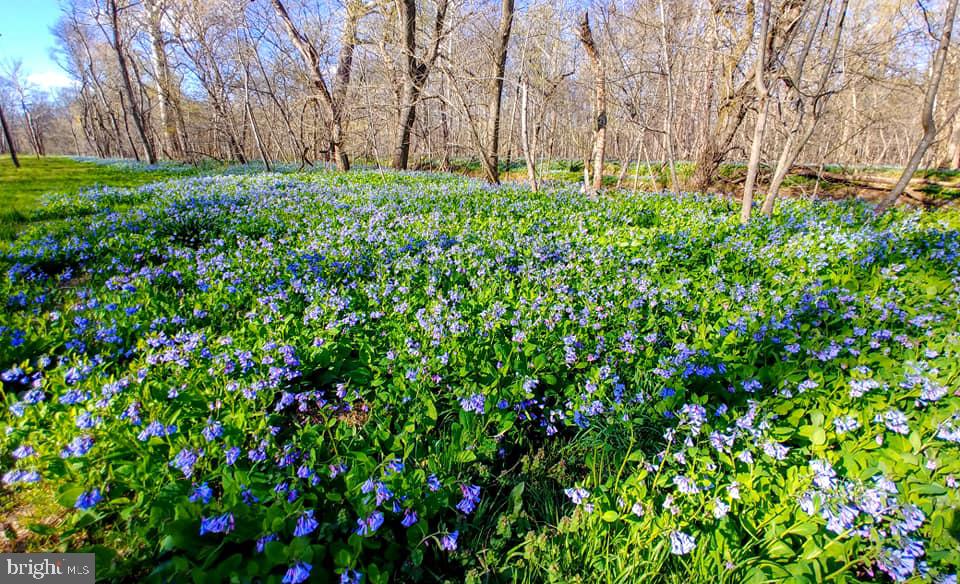 VIRGINIA RUN THE ESTATES - Residential