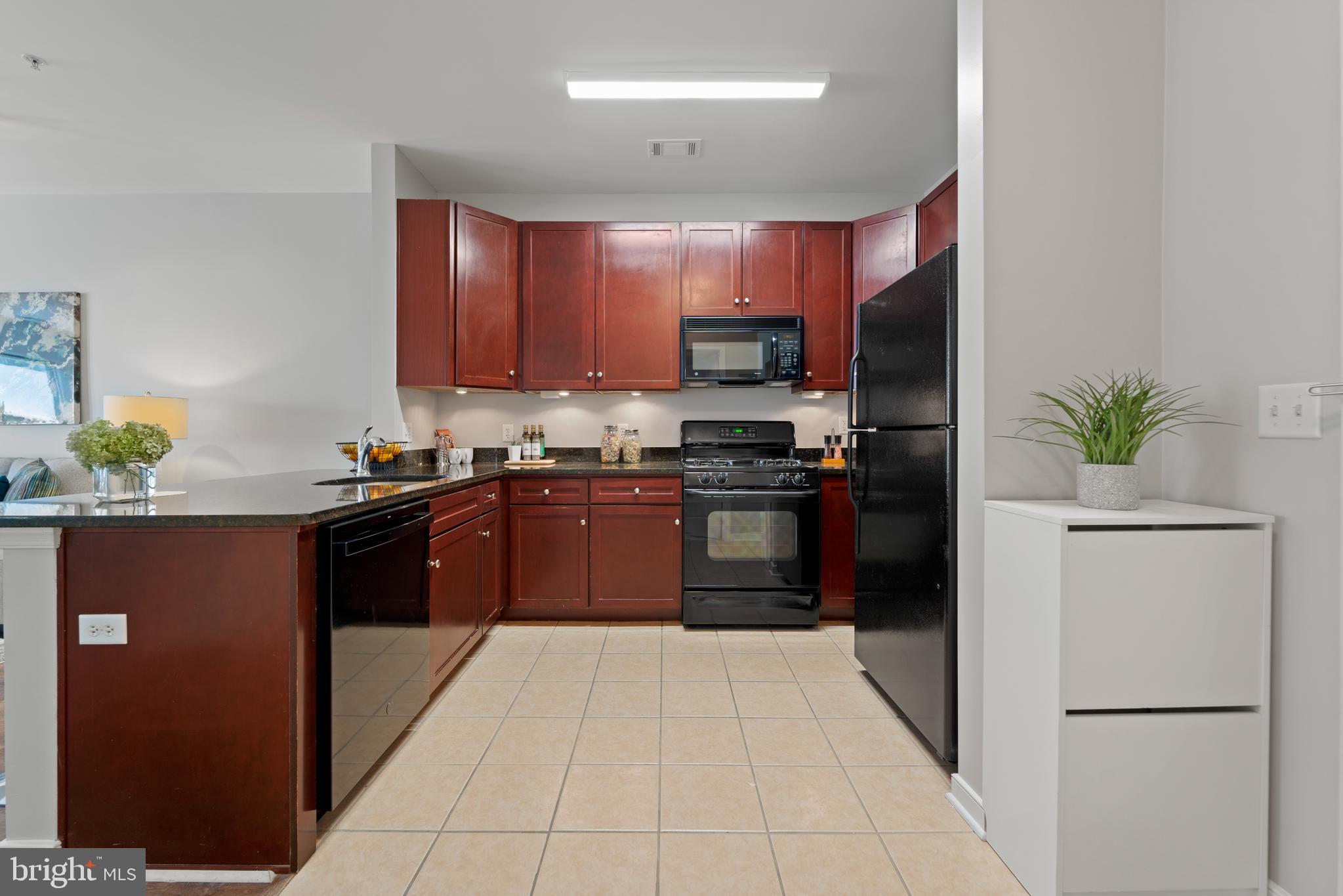 8045 AT SILVER SPRING METRO - Residential