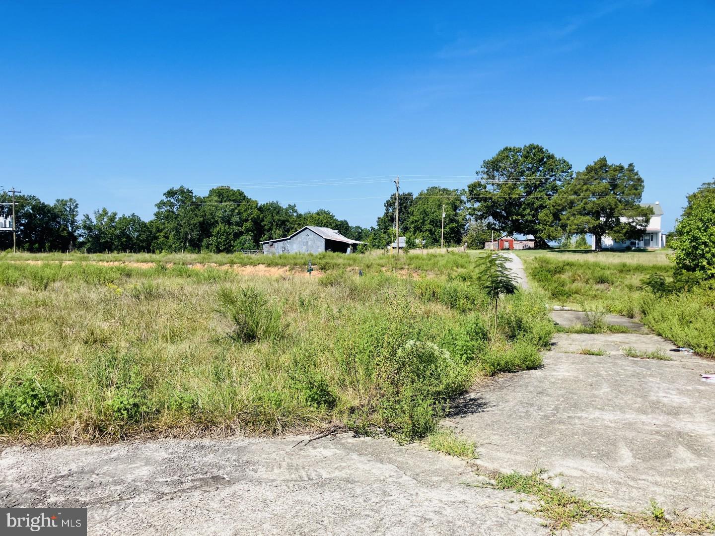 10918 BUGGS ISLAND ROAD