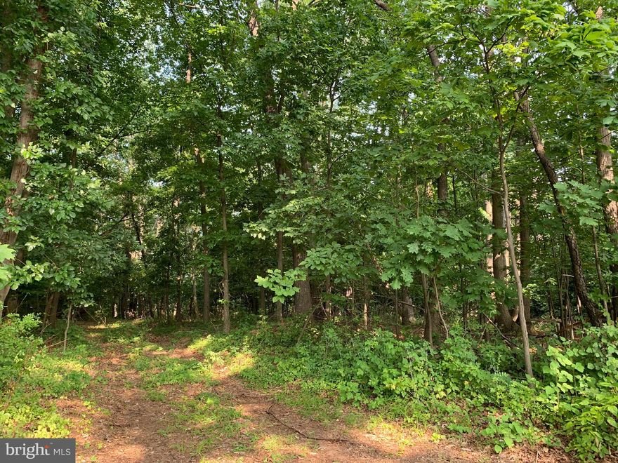 Build your dream home on this great  1.477 acre wooded lot, located close to Westminster.  This lot is approved for a 4 bedroom conventional septic and the seller will have a well installed. Seller will complete subdivision and recordation prior to settlement.