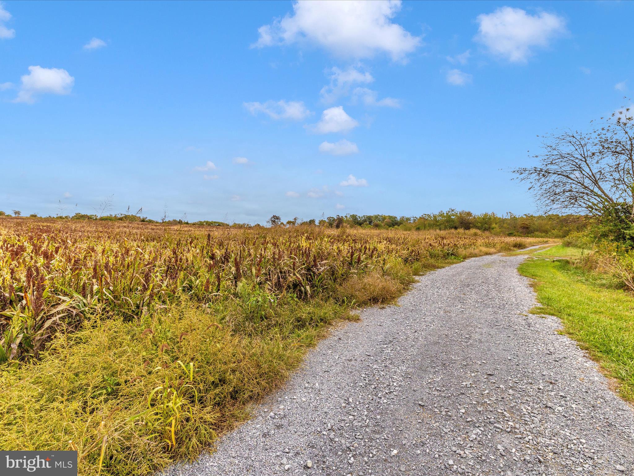 NONE AVAILABLE - Farm