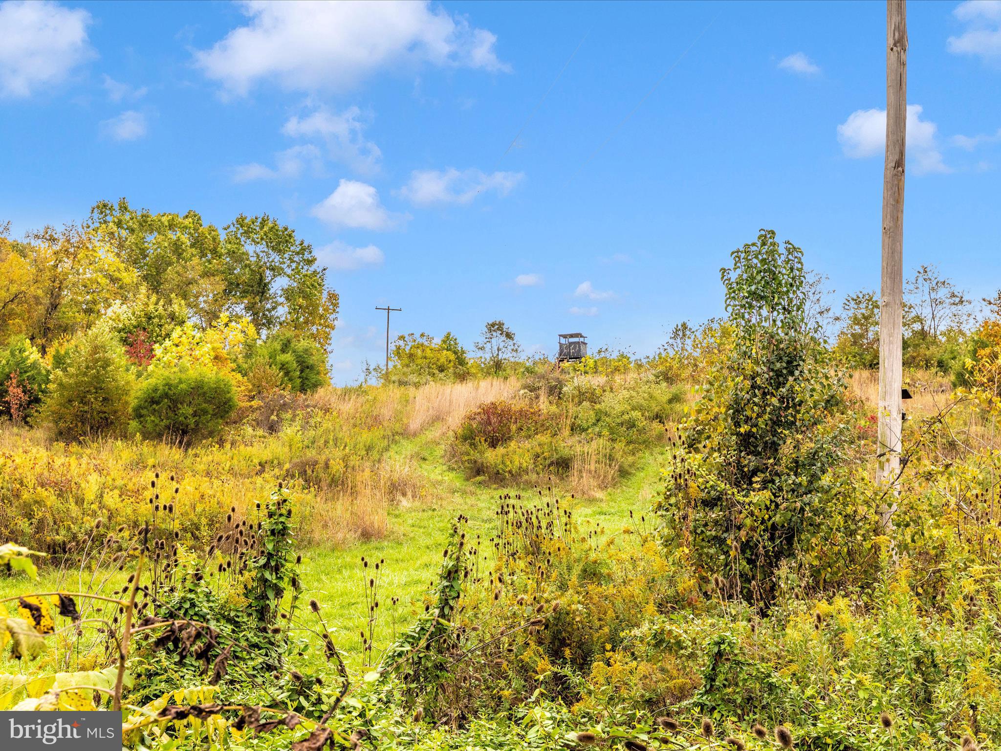 NONE AVAILABLE - Farm