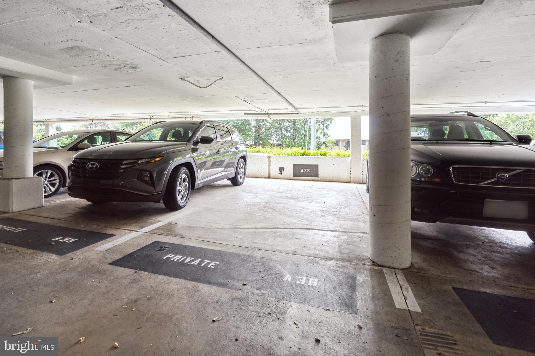 ALEXANDRIA KNOLLS - Residential