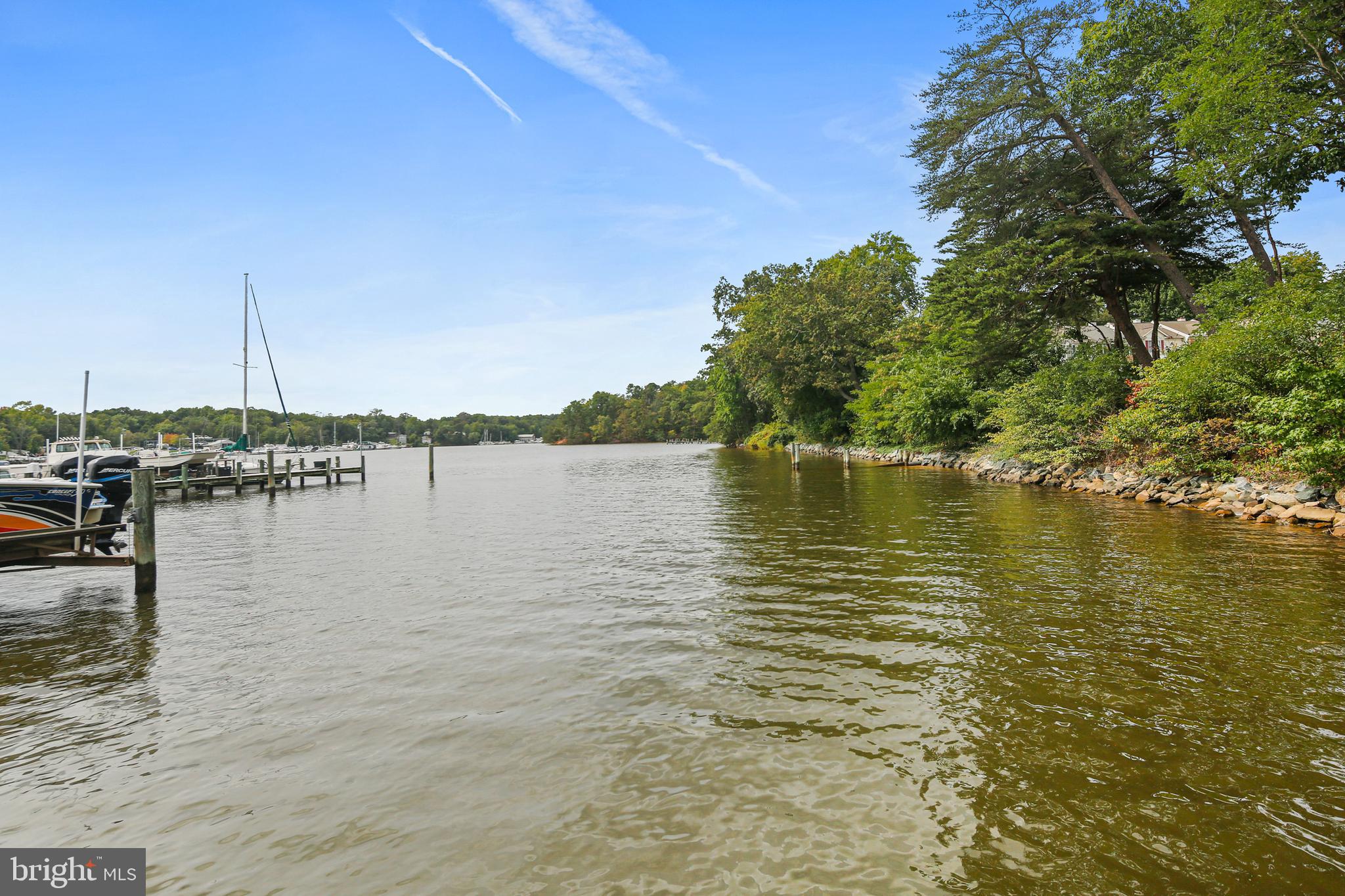 CHESTNUT HILL COVE - Residential