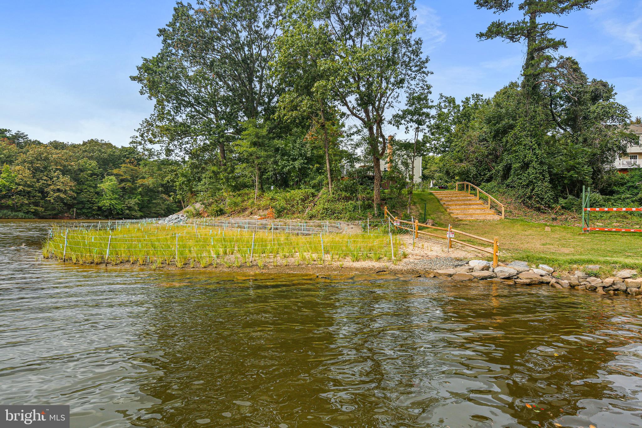 CHESTNUT HILL COVE - Residential