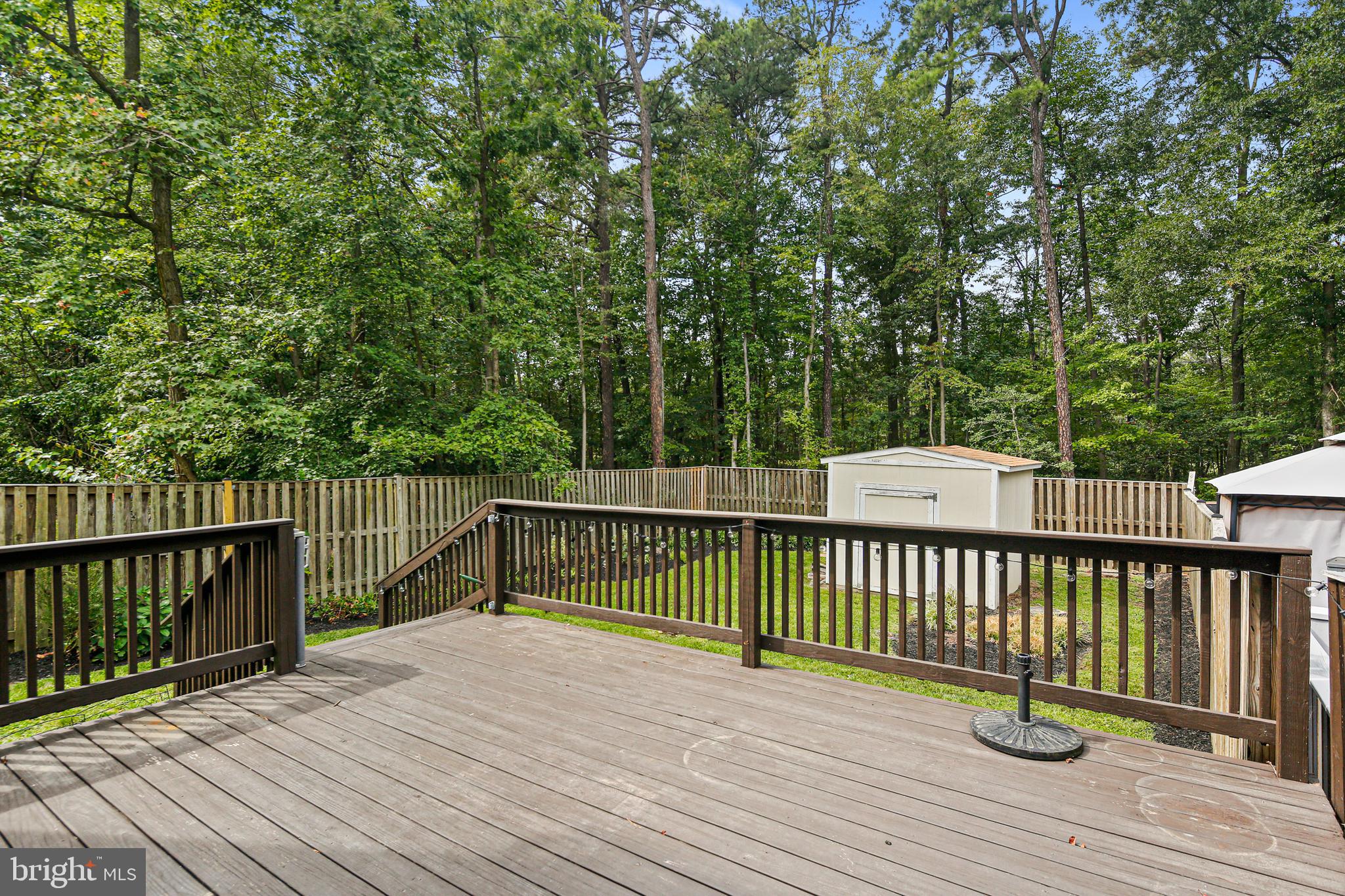 CHESTNUT HILL COVE - Residential