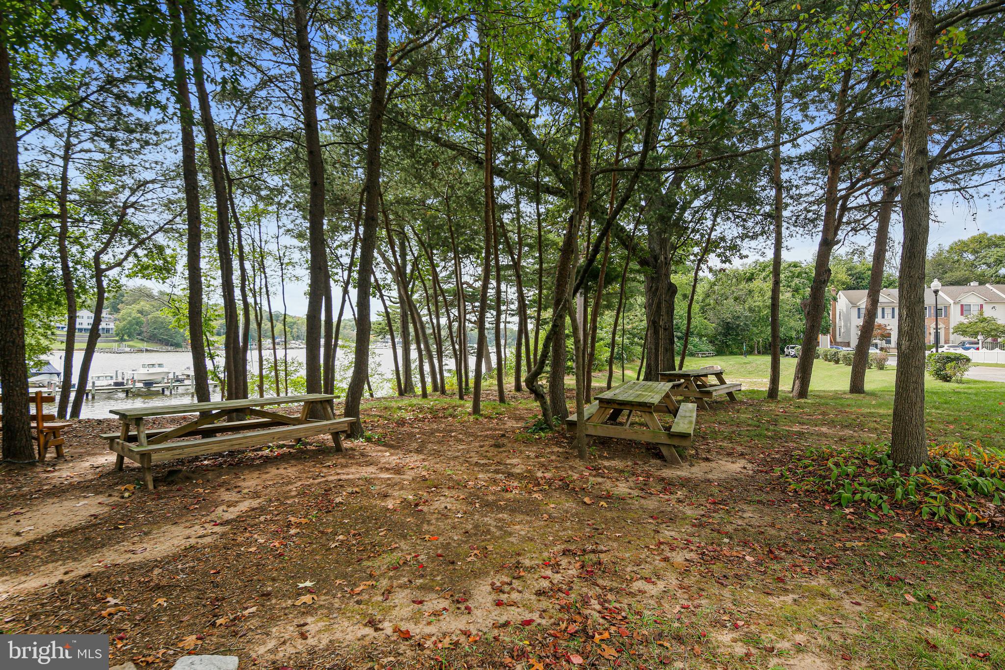 CHESTNUT HILL COVE - Residential