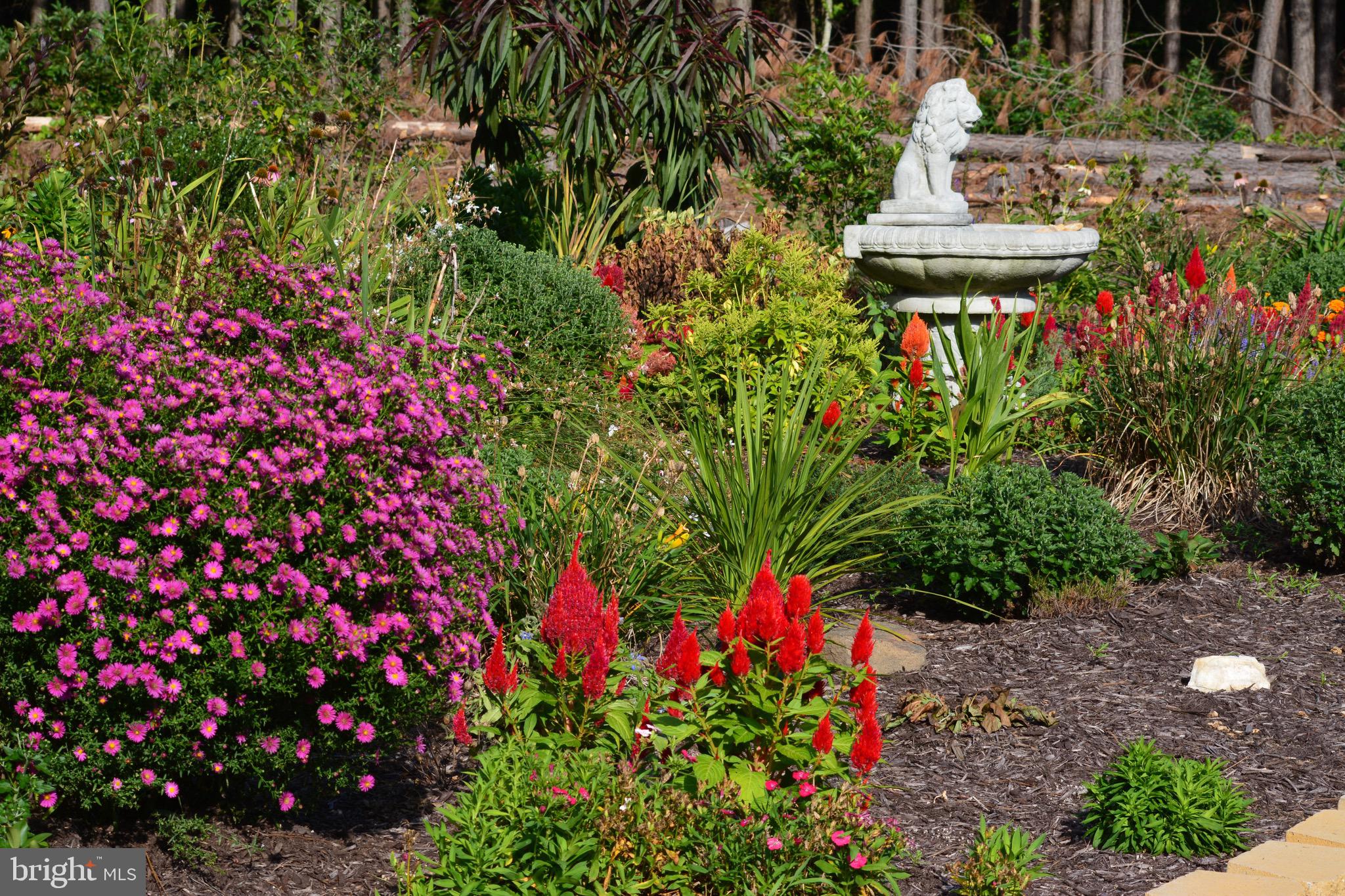 10041 TARRINGTON WAY