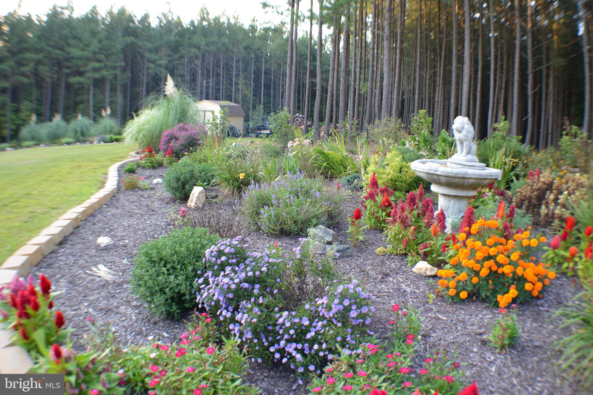 TARRINGTON ESTATES - Residential