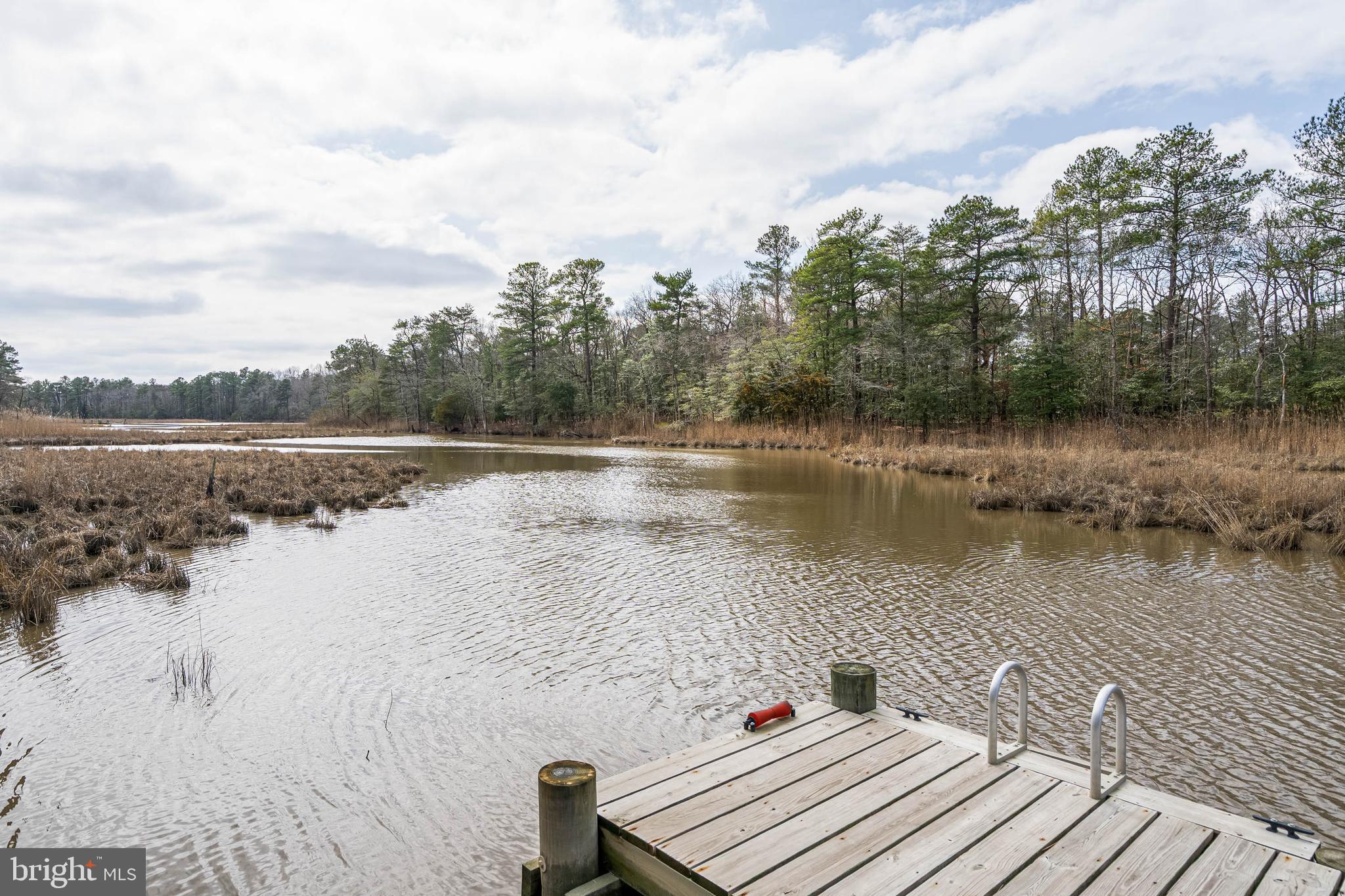 FOUR SEASONS AT BELLE TERRE - Residential