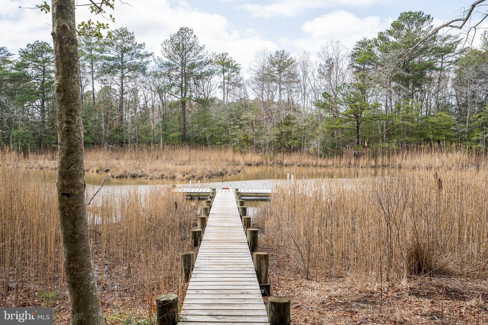FOUR SEASONS AT BELLE TERRE - Residential