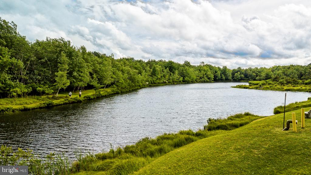 918 K-III SYCAMORE CIRCLE